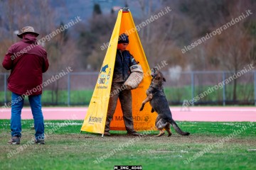 M_IMG_4048.jpg