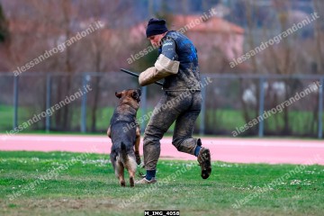 M_IMG_4058.jpg