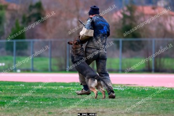 M_IMG_4062.jpg
