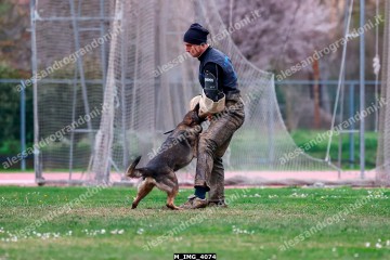 M_IMG_4074.jpg