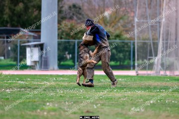 M_IMG_4079.jpg