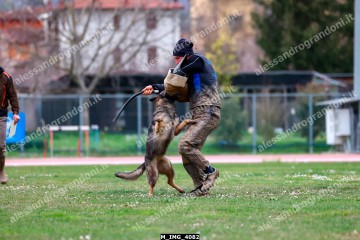 M_IMG_4082.jpg