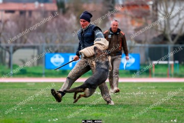 M_IMG_4086.jpg