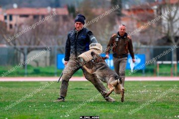 M_IMG_4088.jpg