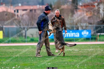 M_IMG_4099.jpg