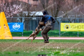 M_IMG_4119.jpg
