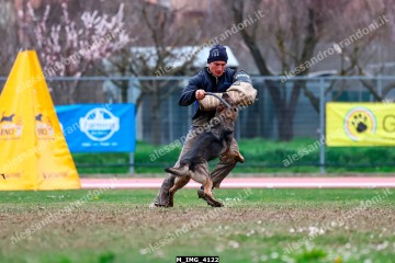 M_IMG_4122.jpg