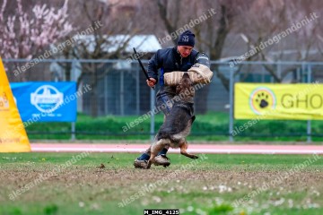 M_IMG_4125.jpg