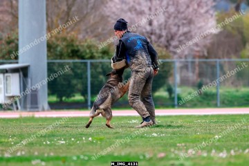 M_IMG_4131.jpg