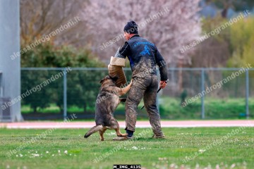M_IMG_4135.jpg