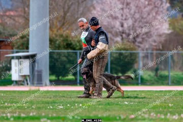 M_IMG_4139.jpg