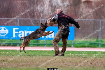M_IMG_4143.jpg