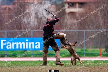 M_IMG_4150.jpg