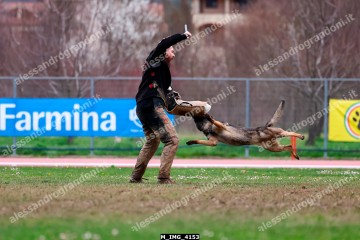 M_IMG_4153.jpg