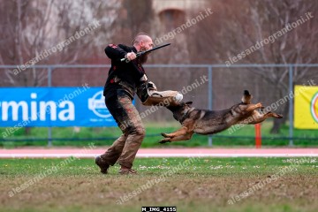 M_IMG_4155.jpg