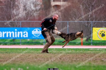 M_IMG_4158.jpg