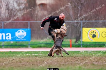 M_IMG_4167.jpg
