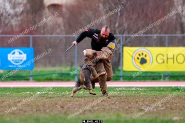M_IMG_4173.jpg