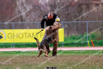 M_IMG_4179.jpg