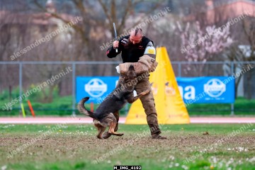 M_IMG_4192.jpg