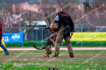 M_IMG_4213.jpg