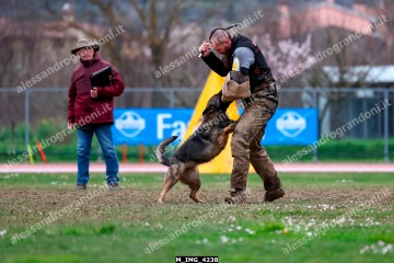 M_IMG_4238.jpg