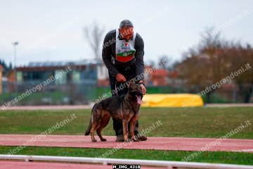 M_IMG_4318.jpg