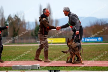 M_IMG_4321.jpg