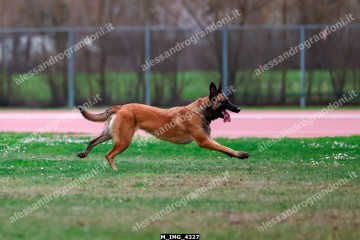 M_IMG_4327.jpg
