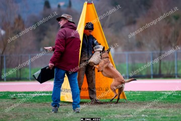 M_IMG_4331.jpg