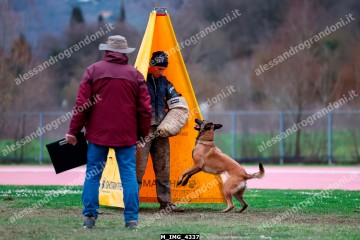 M_IMG_4337.jpg