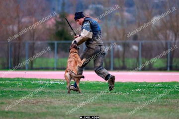 M_IMG_4369.jpg