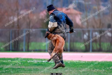 M_IMG_4371.jpg