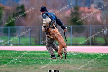 M_IMG_4376.jpg