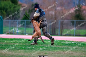 M_IMG_4380.jpg