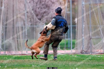 M_IMG_4383.jpg