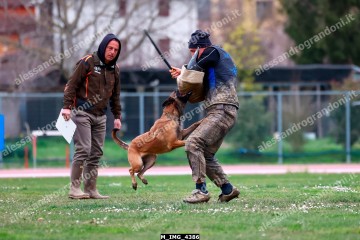 M_IMG_4386.jpg