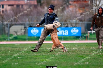 M_IMG_4388.jpg