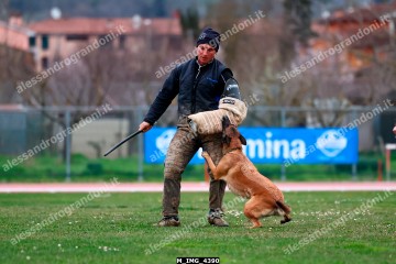 M_IMG_4390.jpg