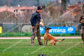 M_IMG_4394.jpg
