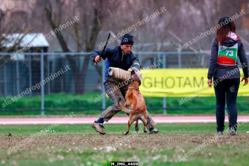 M_IMG_4409.jpg