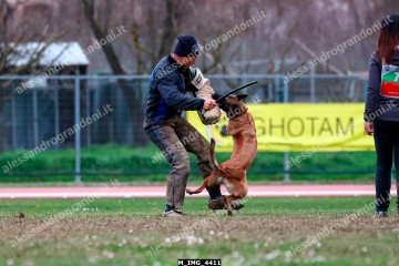 M_IMG_4411.jpg