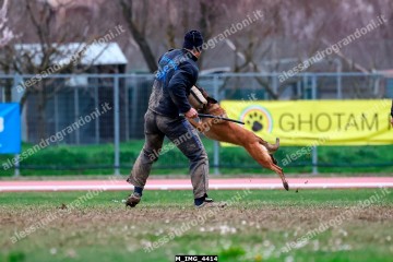 M_IMG_4414.jpg