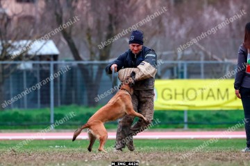 M_IMG_4426.jpg
