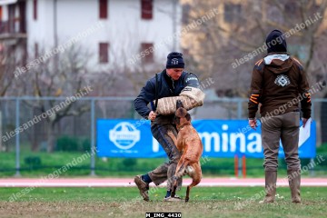 M_IMG_4430.jpg