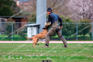 M_IMG_4436.jpg