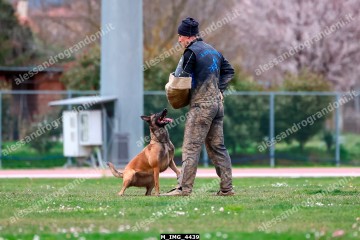 M_IMG_4439.jpg
