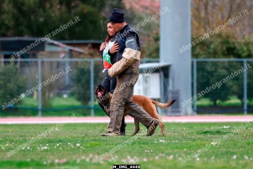 M_IMG_4449.jpg