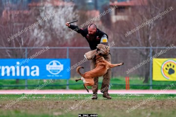 M_IMG_4460.jpg