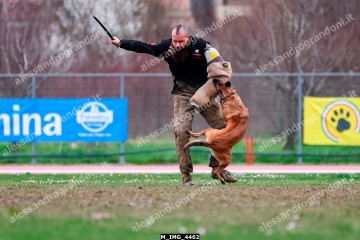 M_IMG_4462.jpg